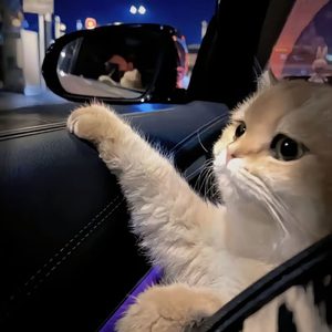 边吃奶边做爱视频免费看
